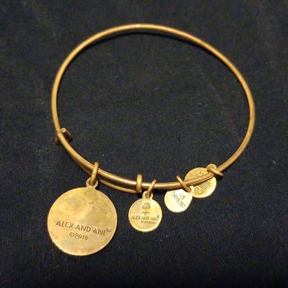 Authentic Alex and Ani bracelet - Love - Picture 2 of 8
